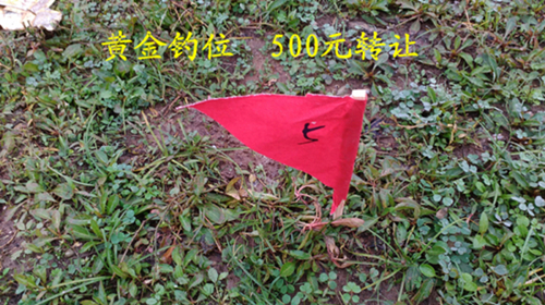 dvubb 按此在新窗口浏览图片